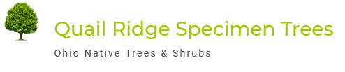 Quail Ridge Specimen Trees (Ohio Native Trees & Shrubs) logo